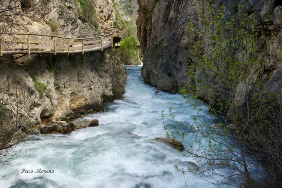 Alojamiento Rural, Cueva De La Abuela Куэвас-дель-Кампо Экстерьер фото