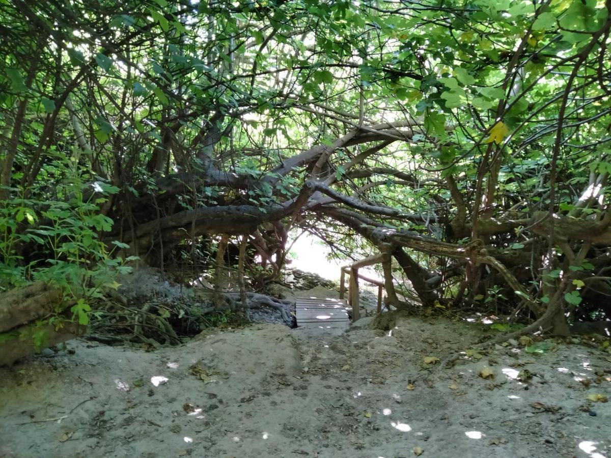 Alojamiento Rural, Cueva De La Abuela Куэвас-дель-Кампо Экстерьер фото